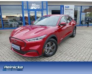 Ford Mustang Mach-E Gebrauchtwagen