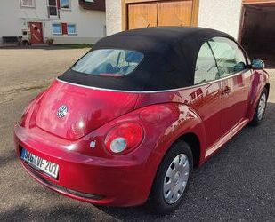VW New Beetle Gebrauchtwagen