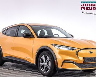 Ford Mustang Mach-E Gebrauchtwagen