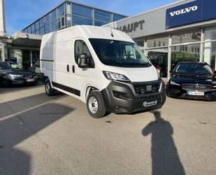 Fiat Ducato Gebrauchtwagen