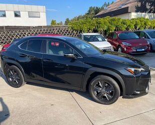 Lexus UX Gebrauchtwagen