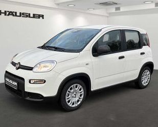 Fiat Panda Gebrauchtwagen