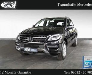 Mercedes-Benz ML 250 Gebrauchtwagen