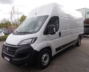 Fiat Ducato Gebrauchtwagen