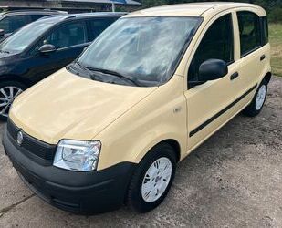 Fiat Panda Gebrauchtwagen