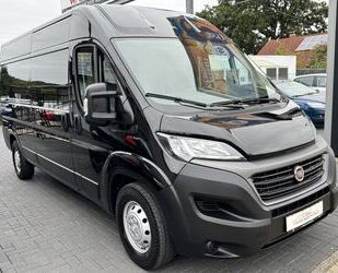 Fiat Ducato Gebrauchtwagen