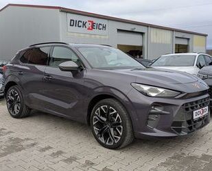 Cupra Terramar Gebrauchtwagen