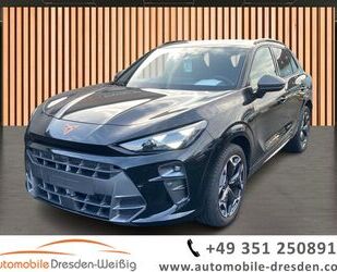 Cupra Terramar Gebrauchtwagen