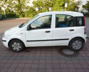 Fiat Panda Gebrauchtwagen