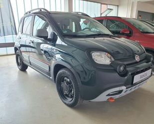 Fiat Panda Gebrauchtwagen