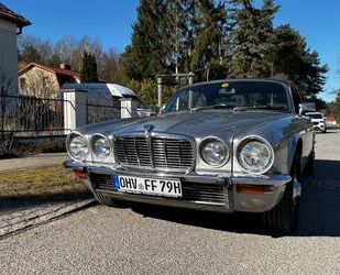 Jaguar XJ6 Gebrauchtwagen