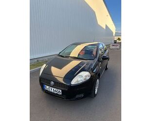 Fiat Punto Gebrauchtwagen
