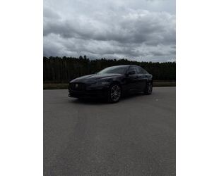 Jaguar XE Gebrauchtwagen
