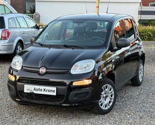 Fiat Panda Gebrauchtwagen