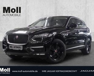 Jaguar F-Pace Gebrauchtwagen