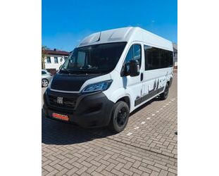 Fiat Ducato Gebrauchtwagen