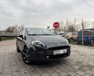 Fiat Punto Gebrauchtwagen
