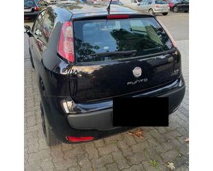Fiat Punto Gebrauchtwagen