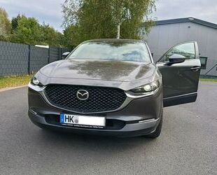 Mazda CX-30 Gebrauchtwagen