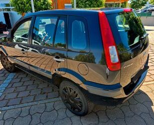 Ford Fusion Gebrauchtwagen