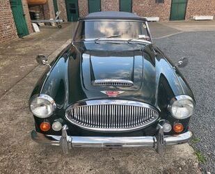 Austin Healey Andere Gebrauchtwagen