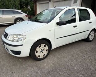 Fiat Punto Gebrauchtwagen