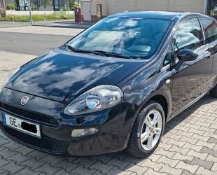 Fiat Punto Gebrauchtwagen