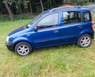 Fiat Panda Gebrauchtwagen
