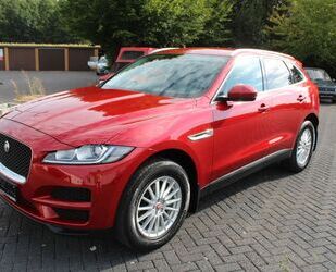 Jaguar F-Pace Gebrauchtwagen
