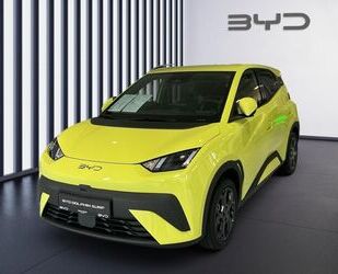 BYD DOLPHIN Gebrauchtwagen