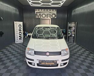 Fiat Panda Gebrauchtwagen