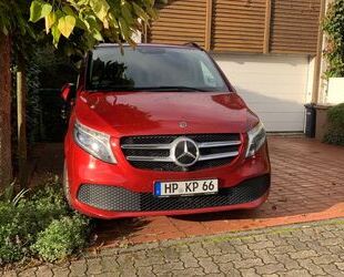 Mercedes-Benz V 250 Gebrauchtwagen