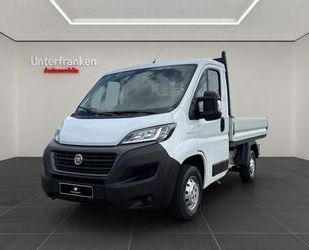 Fiat Ducato Gebrauchtwagen