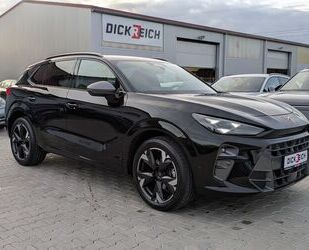 Cupra Terramar Gebrauchtwagen