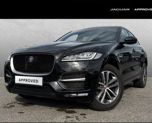 Jaguar F-Pace Gebrauchtwagen