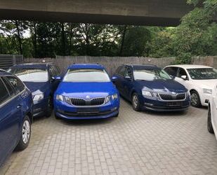 Skoda Octavia Gebrauchtwagen