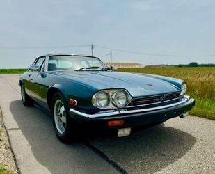 Jaguar XJS Gebrauchtwagen