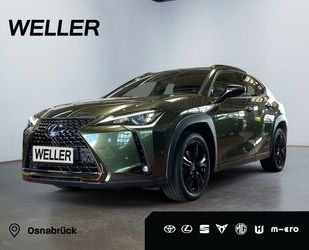 Lexus UX Gebrauchtwagen