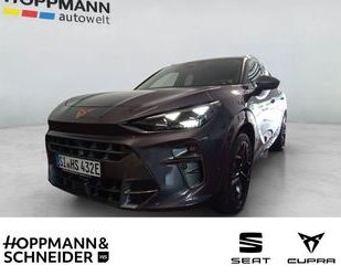 Cupra Terramar Gebrauchtwagen
