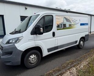 Fiat Ducato Gebrauchtwagen