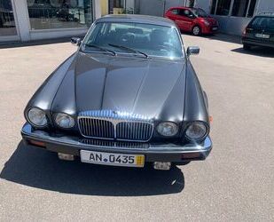 Jaguar Daimler Gebrauchtwagen