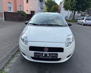 Fiat Punto Gebrauchtwagen