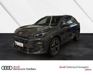 Cupra Terramar Gebrauchtwagen