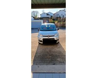 Fiat New Panda Gebrauchtwagen