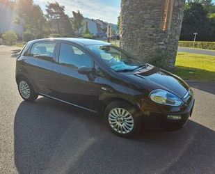 Fiat Punto Gebrauchtwagen