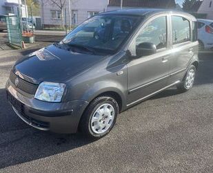 Fiat Panda Gebrauchtwagen