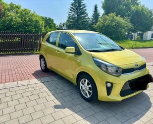Kia Picanto Gebrauchtwagen