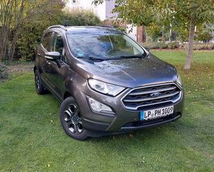 Ford EcoSport Gebrauchtwagen