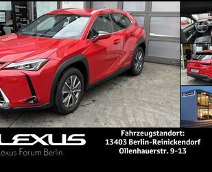 Lexus UX Gebrauchtwagen