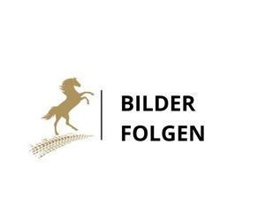 Mercedes-Benz C 250 Gebrauchtwagen